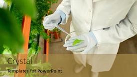  Presentation with pipette - Audience pleasing slide deck consisting of gloved-hands-of-contemporary-agroengineer backdrop and a gold colored foreground