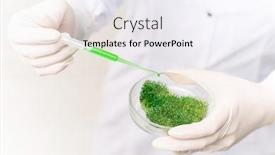  Presentation with substance - Beautiful presentation theme featuring gloved-hands-of-contemporary-researcher backdrop and a sky blue colored foreground