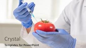  Presentation with scientific - Audience pleasing theme consisting of gloved-hands-of-contemporary-scientific backdrop and a soft green colored foreground