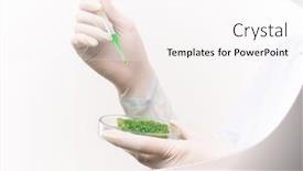  Presentation with petri dish - Presentation with gloved-hands-of-contemporary-scientist background and a pink colored foreground