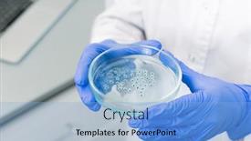  Presentation with petri dish - Slide set consisting of gloved-hands-of-scientific-researcher background and a light blue colored foreground