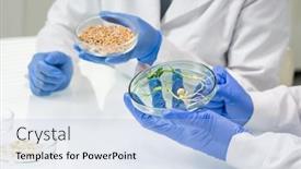  Presentation with lab - Slide deck having gloved-hands-of-two-contemporary background and a light blue colored foreground