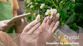  Presentation with vertical farm - Colorful PPT theme enhanced with gloved-hands-of-vertical-farm backdrop and a coral colored foreground