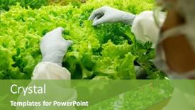  Presentation with vertical farm - Theme having gloved-hands-of-worker background and a tawny brown colored foreground