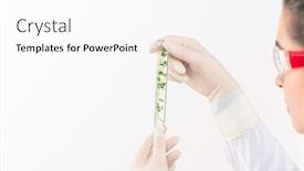  Presentation with young plant - Colorful presentation enhanced with gloved-hands-of-young-female backdrop and a pink colored foreground