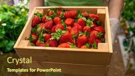  Presentation with vertical farm - Audience pleasing PPT theme consisting of gloved-hands-of-young-male backdrop and a tawny brown colored foreground