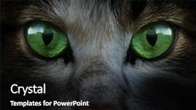  Presentation with dark green - Slides consisting of glow dark - green cat eyes close up background and a black colored foreground
