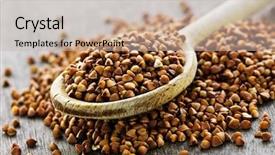  Presentation with seeds - Cool new slides with  backdrop and a  colored foreground