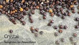  Presentation with gluten - Beautiful PPT layouts featuring gluten free black quinoa grain against slate rock - macro background backdrop and a light gray colored foreground