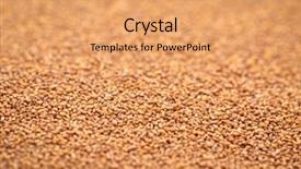  Presentation with gluten - Colorful theme enhanced with gluten free brown teff grain backdrop and a coral colored foreground