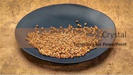  Presentation with gluten free - Amazing slide set having gluten-free-buckwheat-kasha backdrop and a coral colored foreground