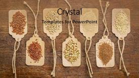  Presentation with rice grains - Audience pleasing PPT layouts consisting of gluten free grains quinoa sorghum backdrop and a coral colored foreground