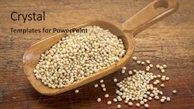  Presentation with gluten free - Amazing PPT theme having gluten free white sorghum backdrop and a coral colored foreground