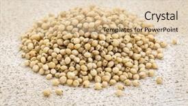  Presentation with sorghum - PPT layouts enhanced with gluten free white sorghum background and a lemonade colored foreground