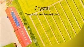  Presentation with rapeseed - PPT layouts enhanced with gm - aerial view to green wheat background and a gold colored foreground