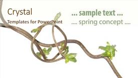  Presentation with flora and fauna - Theme consisting of gnarled flora against white background background and a cream colored foreground