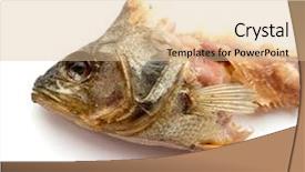  Presentation with bone fish - PPT theme enhanced with gnawed dried fish background and a lemonade colored foreground