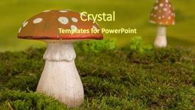  Presentation with moss - Slide deck consisting of gnome - fairytale background with agaric toadstools background and a tawny brown colored foreground