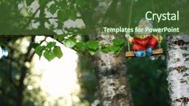  Presentation with green nature - Cool new presentation design with gnome - garden dwarf on green nature backdrop and a tawny brown colored foreground