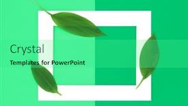  Presentation with green energy - Presentation having go-green-for-clean-energy background and a seafoam green colored foreground