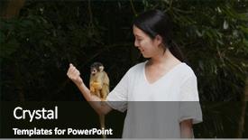  Presentation with tourist - Audience pleasing PPT theme consisting of go green tree - woman tourist go backdrop and a black colored foreground