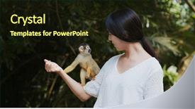  Presentation with vacation visit - Audience pleasing PPT layouts consisting of go green tree - woman tourist go backdrop and a wine colored foreground