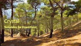  Presentation with lights through forest - Presentation featuring go greenery - footpath going through a forest background and a  colored foreground