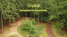  Presentation with lights through forest - Slides featuring go greenery - footpath going through a forest background and a  colored foreground