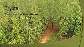  Presentation with lights through forest - Amazing presentation design having go greenery - footpath going through a forest backdrop and a  colored foreground