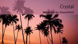  Presentation with goa beach - Audience pleasing PPT theme consisting of goa beach - tropic vew of beautiful coral backdrop and a coral colored foreground