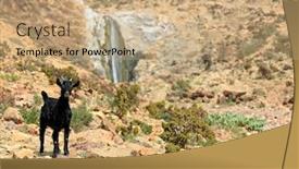  Presentation with island - Amazing slide set having goat-socotra-island-yemen backdrop and a coral colored foreground