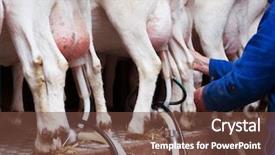  Presentation with dairy goat - Theme enhanced with goat udder and hooves shot background and a tawny brown colored foreground