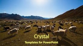  Presentation with tibetan mountains - Slides consisting of goats graze in altai mountains background and a tawny brown colored foreground