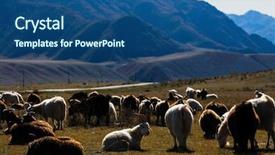  Presentation with russia - Beautiful presentation theme featuring goats graze in altai mountains backdrop and a ocean colored foreground