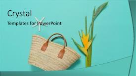  Presentation with blue flower bulb field - Amazing theme having gob - bird of paradise flower backdrop and a seafoam green colored foreground