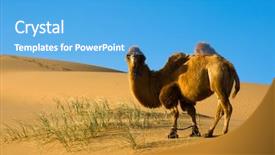  Presentation with china - Theme having gobi - sand desert china background and a teal colored foreground