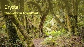  Presentation with new zealand - Audience pleasing PPT theme consisting of goblin forest in taranaki new backdrop and a tawny brown colored foreground