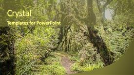  Presentation with new zealand silver fern black - Cool new presentation theme with goblin forest in taranaki new backdrop and a tawny brown colored foreground