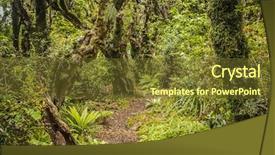  Presentation with new zealand - PPT theme enhanced with goblin forest in taranaki new background and a tawny brown colored foreground