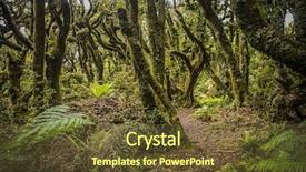  Presentation with new zealand - Beautiful PPT theme featuring goblin forest in taranaki new backdrop and a tawny brown colored foreground