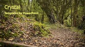  Presentation with new zealand - PPT theme having goblin forest in taranaki new background and a tawny brown colored foreground