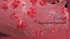  Presentation with swimming - Slide deck featuring goby-fish-swimming-along-spiral background and a  colored foreground