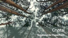  Presentation with amazing - Slide deck enhanced with god cedars mountain amazing nature background and a gray colored foreground