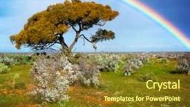  Presentation with rainbow - Theme with god creation - rainbow over a lone tree background and a tawny brown colored foreground
