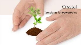  Presentation with hands planting a cabbage seedling - Presentation theme consisting of gods protection - hands and plant isolated background and a lemonade colored foreground