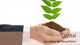  Presentation with old man - Audience pleasing slide deck consisting of gods protection - old man hands and plant backdrop and a coral colored foreground