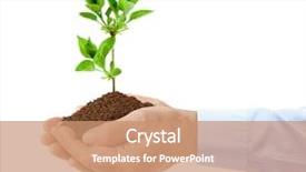  Presentation with old man - Beautiful slide deck featuring god father - old man hands and plant backdrop and a coral colored foreground