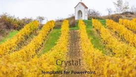  Presentation with torture - Presentation consisting of god's torture near hnanice with autumnal vineyard southern moravia czech republic background and a gold colored foreground