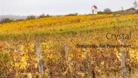 Presentation with torture - Audience pleasing presentation consisting of god-s-torture-near-hnanice backdrop and a gold colored foreground