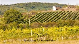  Presentation with torture - Slide deck consisting of god's torture near hnanice with autumnal vineyard southern moravia czech republic background and a gold colored foreground